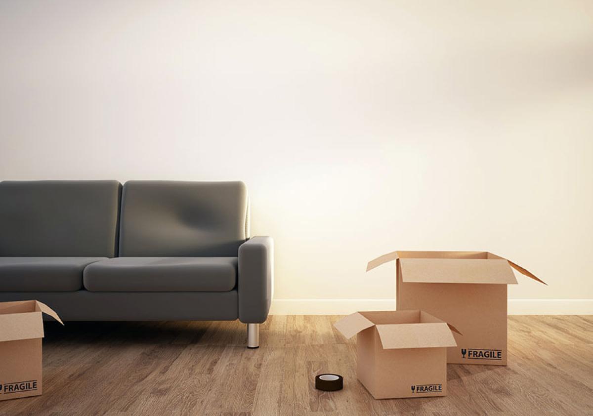 carton-2