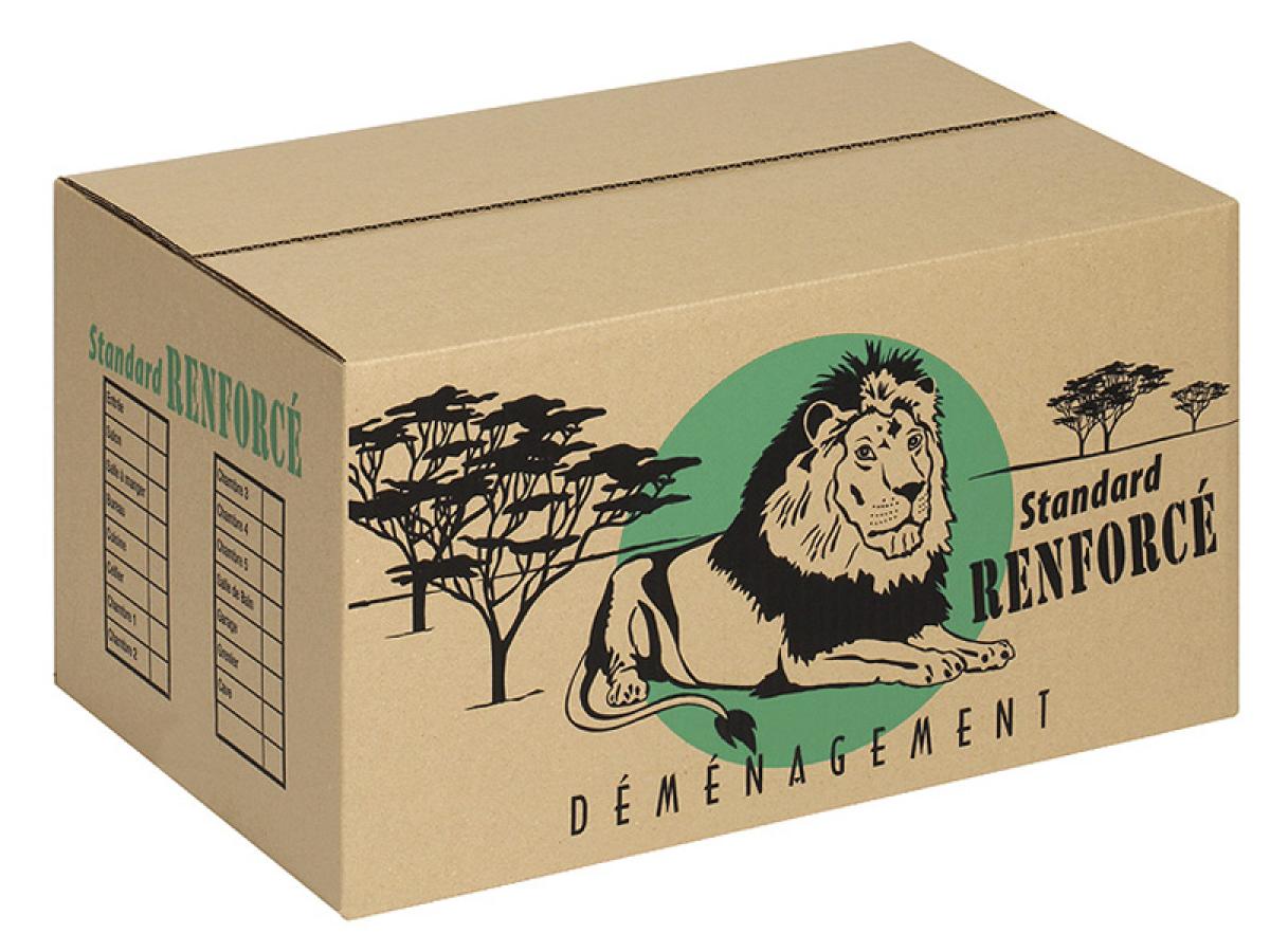 standard-renforce